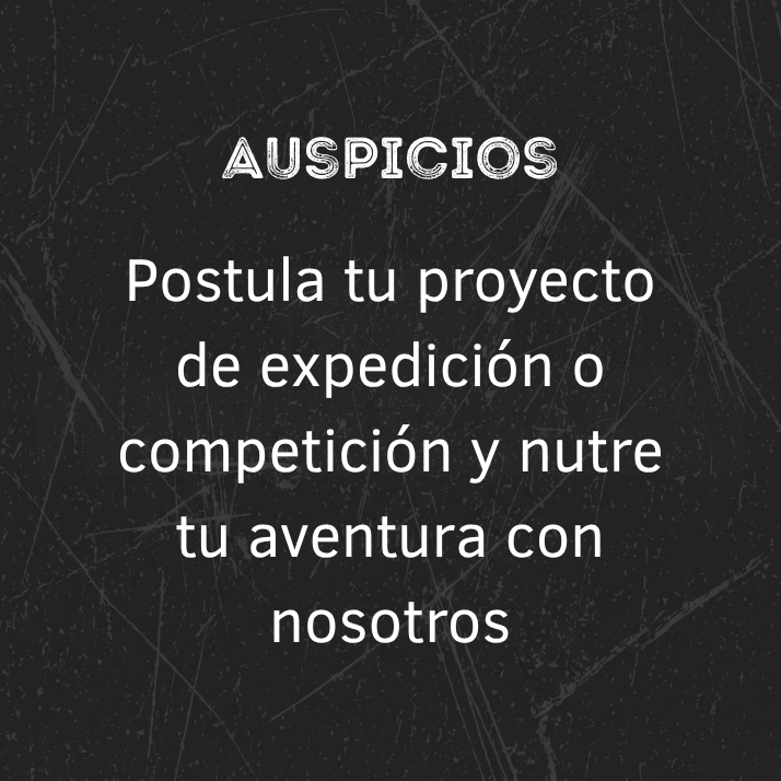 03_auspicios texto-100